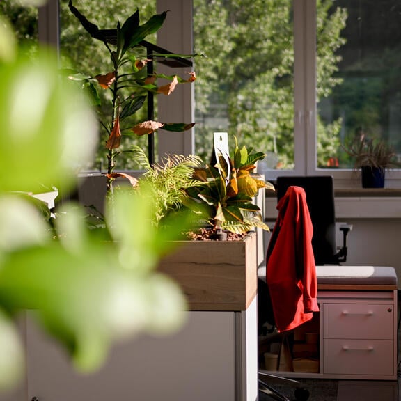 Bild von Den Arbeitsplätzen der Meto